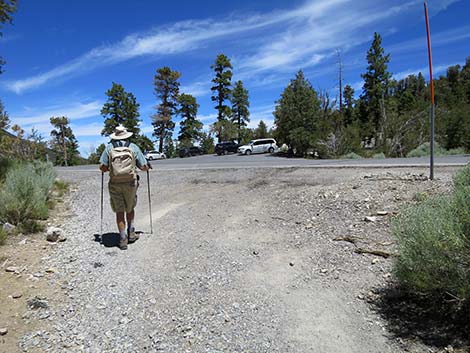 Wildhorse Loop Trail