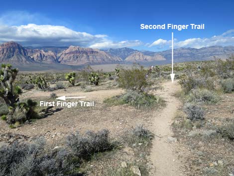 Second Finger Trail