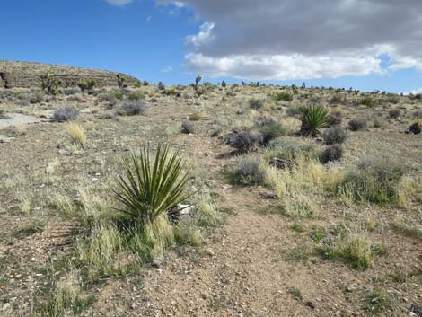 Second Finger Trail