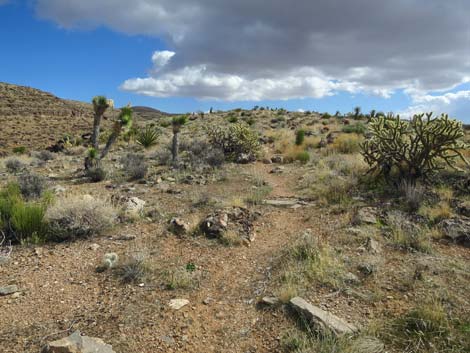 Second Finger Trail