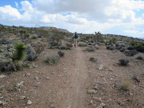 Second Finger Trail