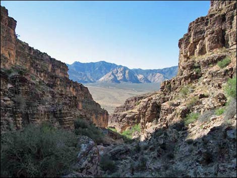 Cave Canyon