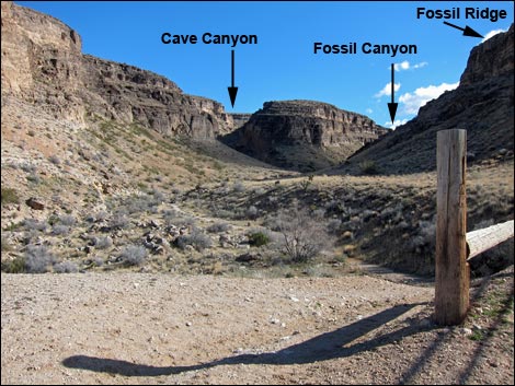 Cave Canyon