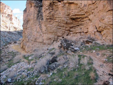 Desert Cave