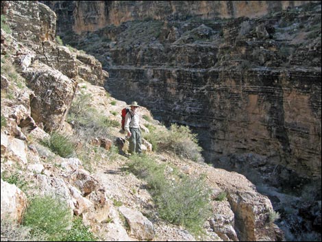 Cave Canyon