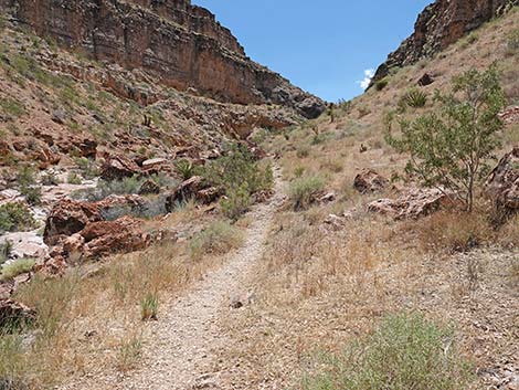 Fossil Canyon