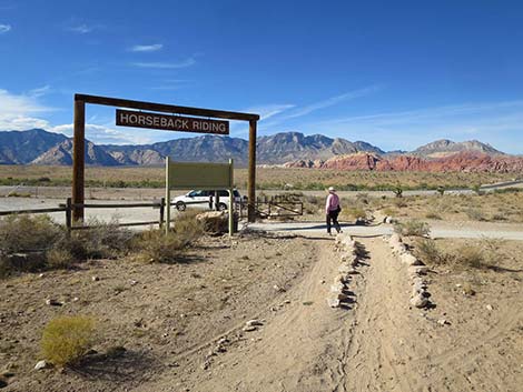 Fossil Trail