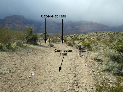 Fossil Trail