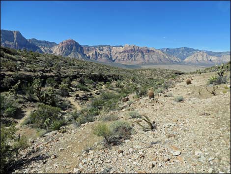 Fossil Trail