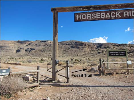 Fossil Trail