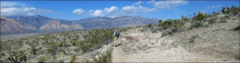 Jeep Trail