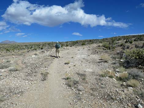 Jeep Trail