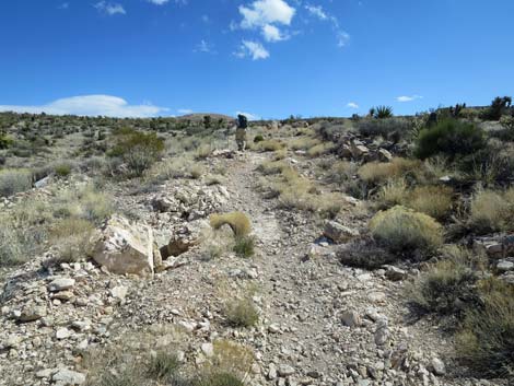 Jeep Trail