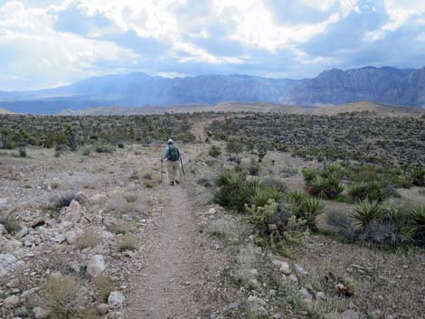 Jeep Trail