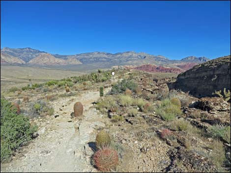 Rock Garden Trail