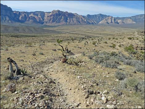 Rock Garden Trail