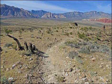 Rock Garden Trail