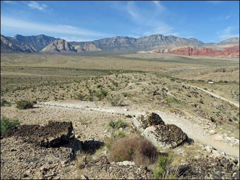 Rock Garden Trail