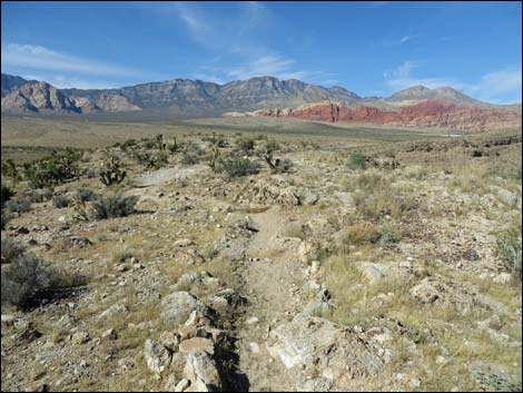 Rock Garden Trail