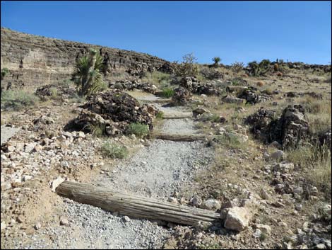 Rock Garden Trail