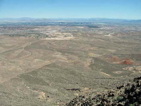 To-The-Top Trail