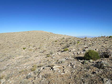 Birdspring Peak