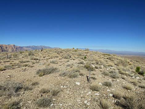 Birdspring Peak