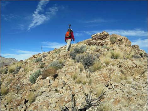 Birdspring Peak