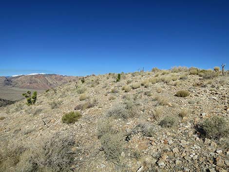 Birdspring Peak