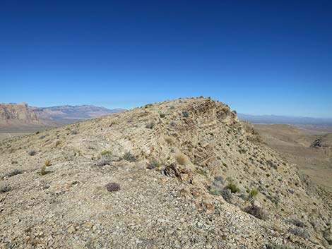 Birdspring Peak