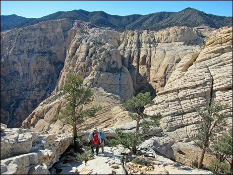 Bridge Mountain