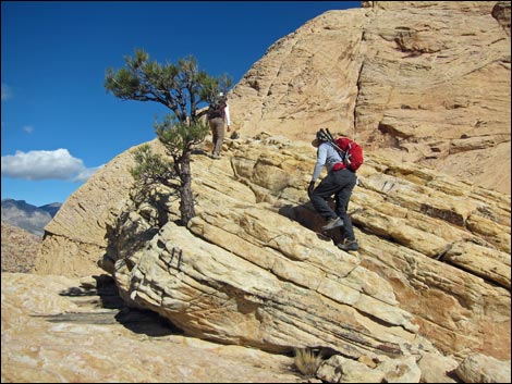 Bridge Mountain