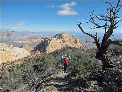 Bridge Mountain Trail