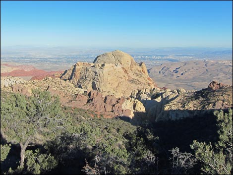 Bridge Mountain Trail