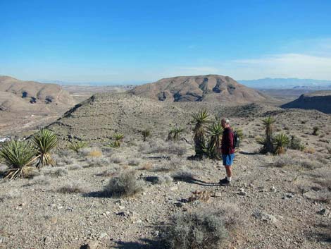 Ridgeline Loop Trail