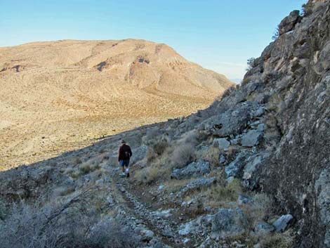 Ridgeline Loop Trail