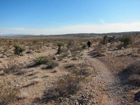 Ridgeline Loop Trail