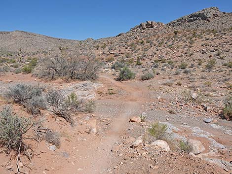 Ridgeline Loop Trail