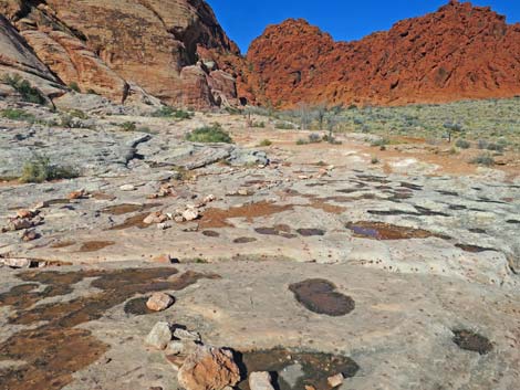 Calico Basin Trail