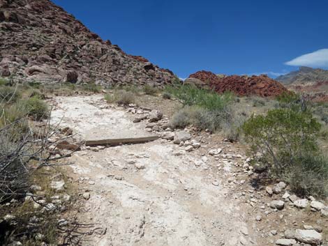 Calico Basin Trail