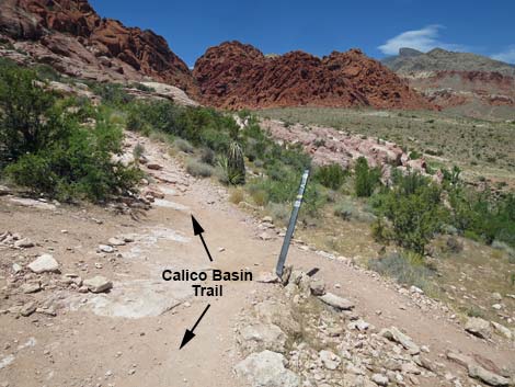 Calico Basin Trail