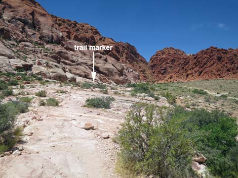 Calico Basin Trail