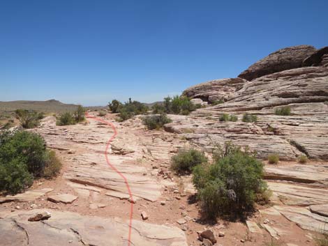 Calico Basin Trail