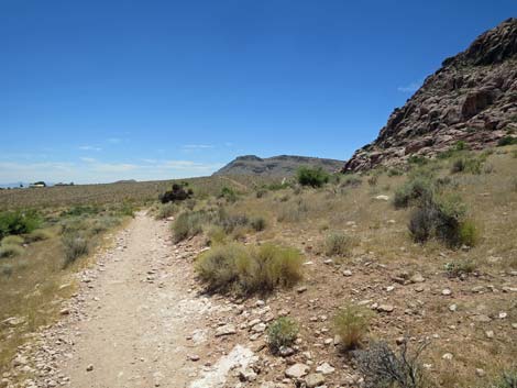 Calico Basin Trail