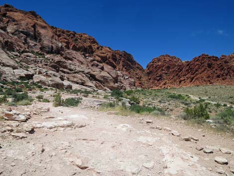 Calico Basin Trail