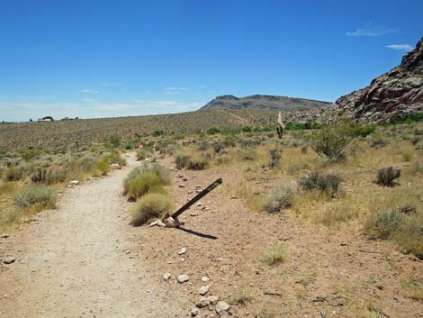 Calico Basin Trail