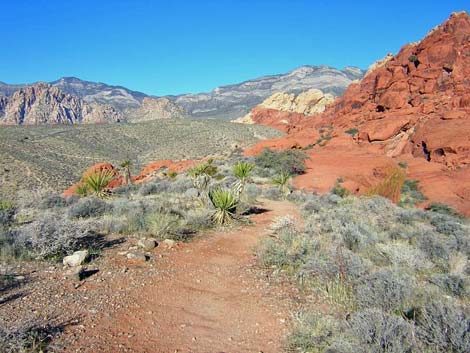 calico hills trail