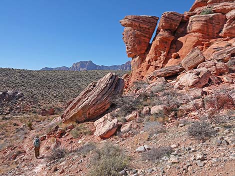 Calico Hills Loop Trail