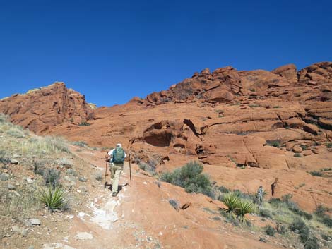 Calico Hills Loop Trail