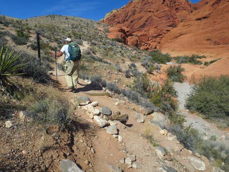 Calico Hills Loop Trail